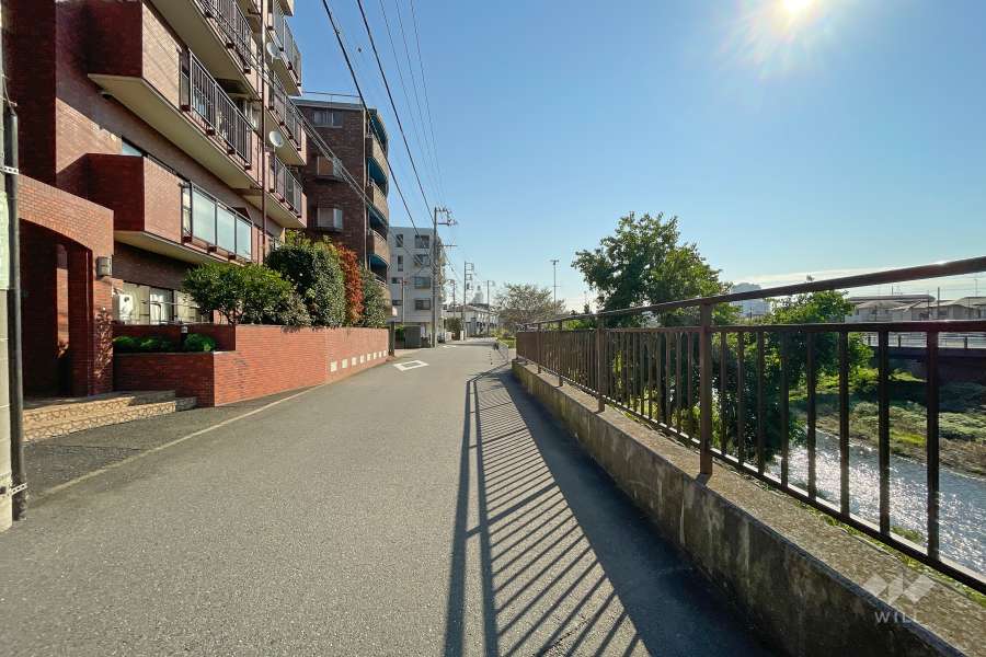 敷地南側の前面道路（西側から）