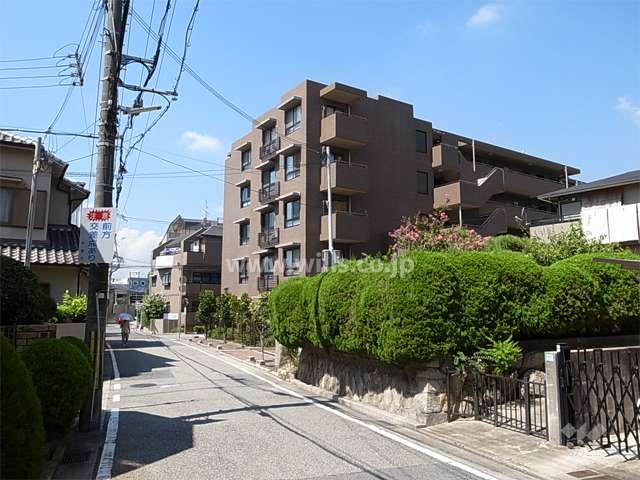 周辺は一戸建てとマンションが混在する静かな住宅地です。