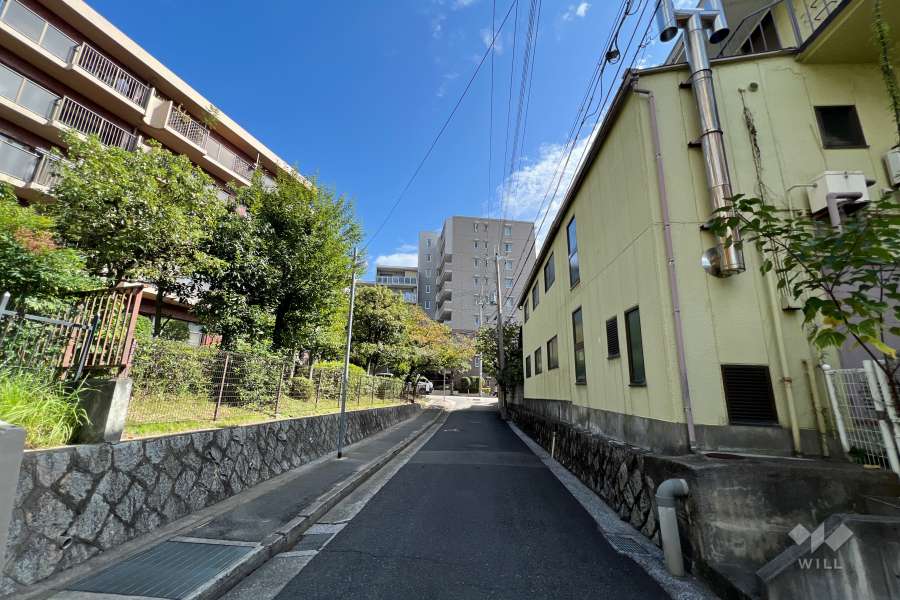 敷地南側の前面道路（西側から）