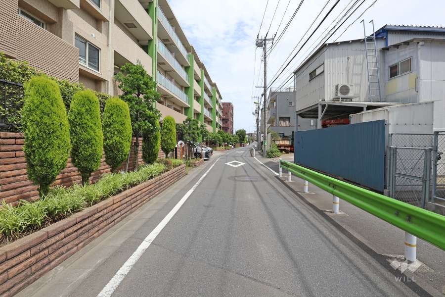 敷地南側の前面道路（西側から）