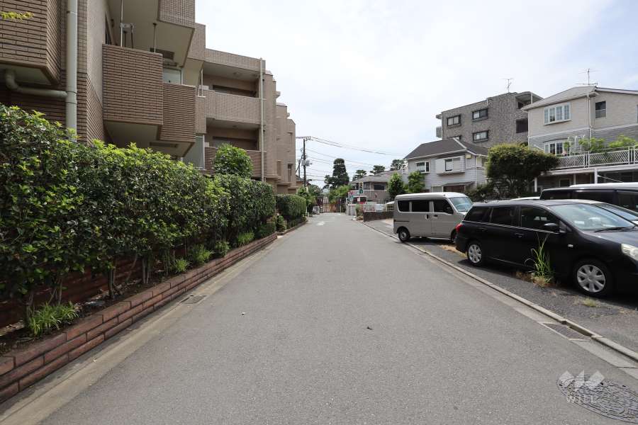 敷地西側の前面道路（北側から）