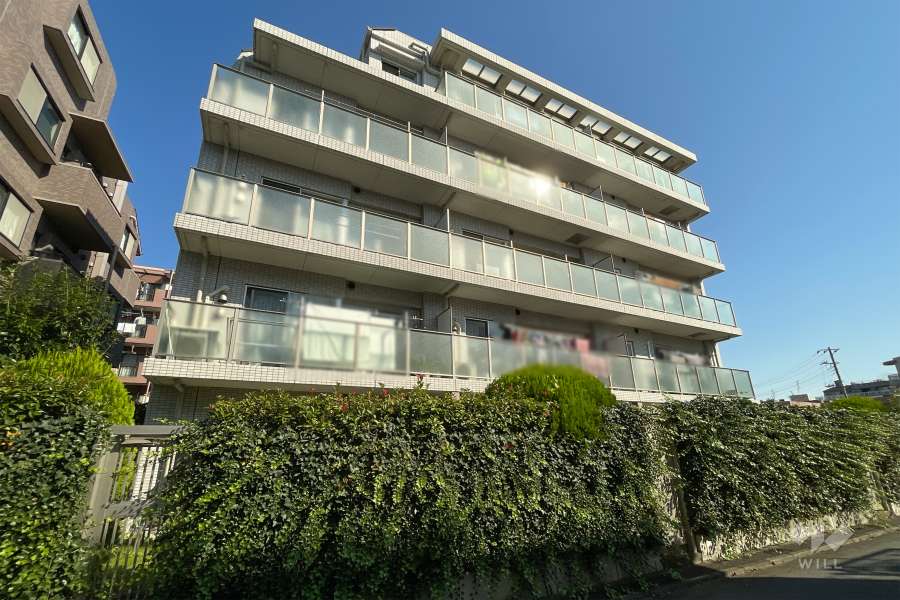 ルネサンス二子玉川の外観（南側から）