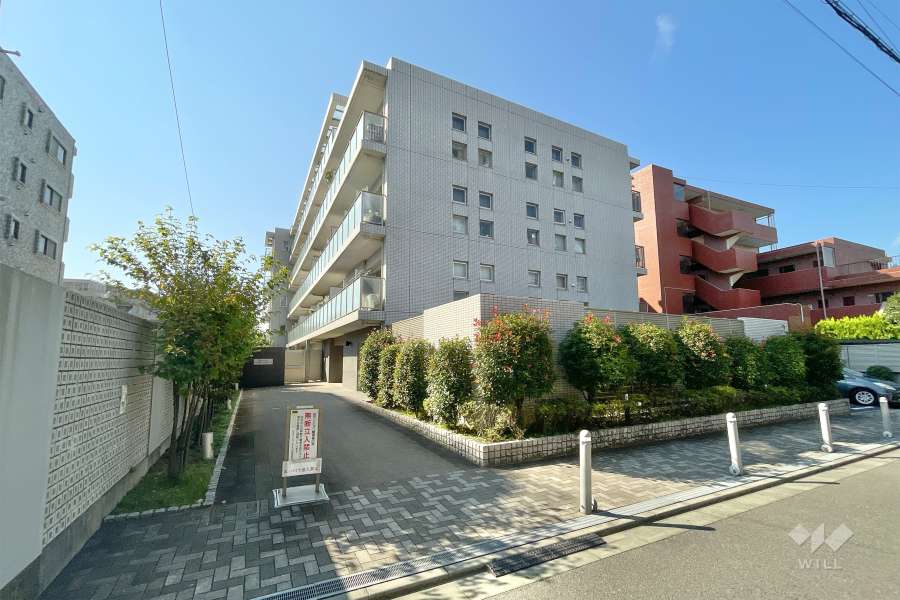 ルネサンス二子玉川の外観（北東側から）　