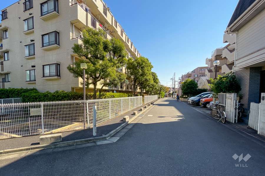 敷地南側の前面道路（西側から）