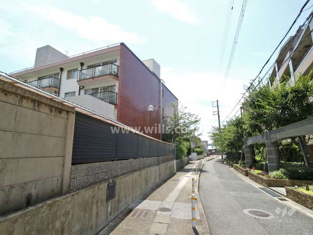 敷地西側の前面道路（北側から）