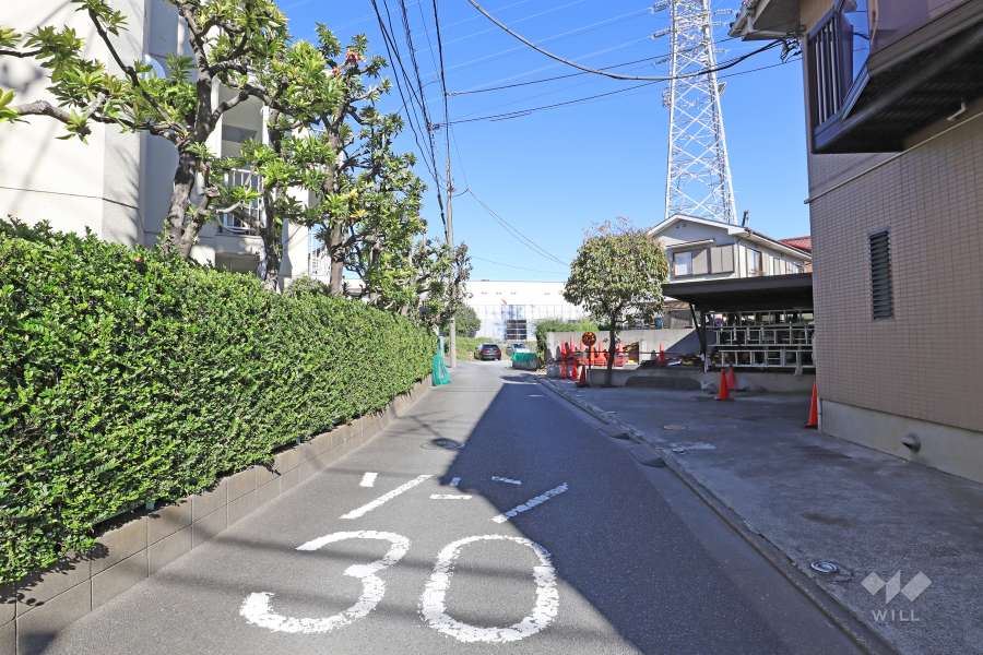 敷地南東側の前面道路（南西側から）