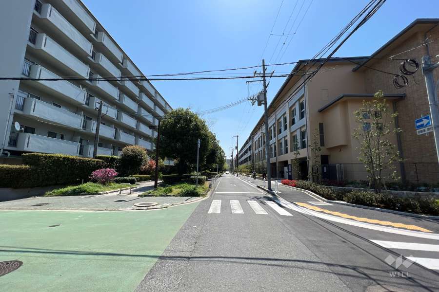 敷地北西側の前面道路（北東側から）