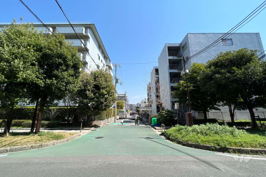 敷地南側の前面道路（西側から）