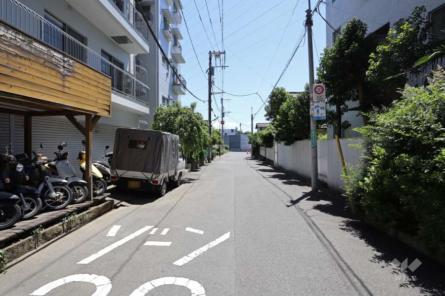 敷地南東側の前面道路（北東側から）