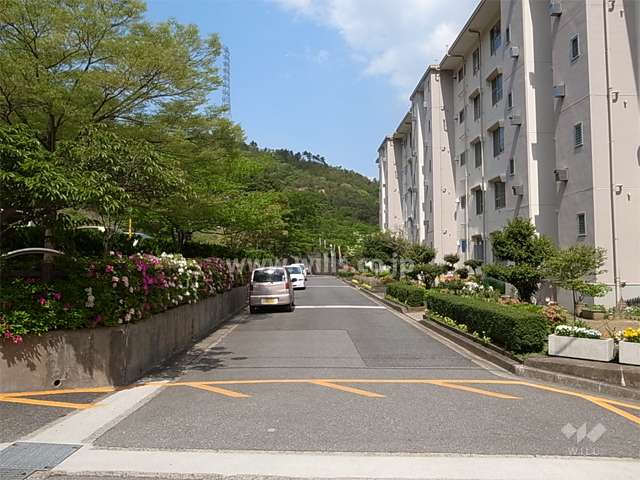7号棟北側の道路。道を挟んで小さな公園と駐車場があり、その向こうには山が広がっています。