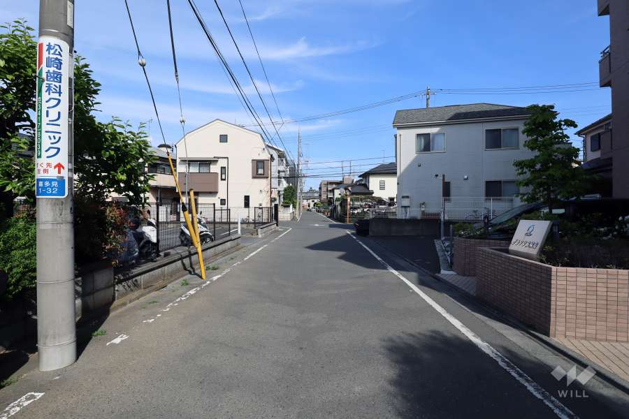 敷地北側の前面道路（西側から）