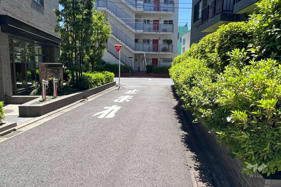 敷地北側の前面道路(北東側から)