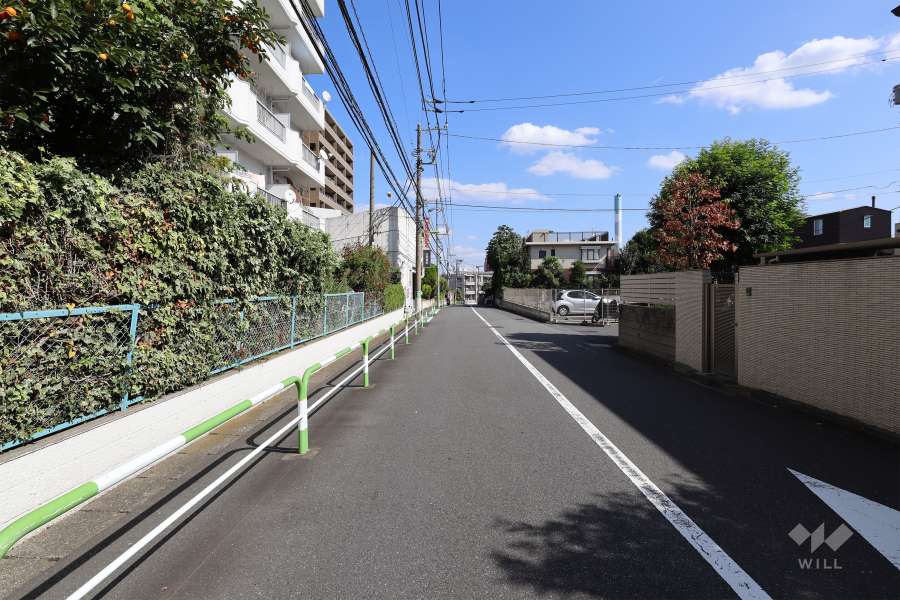 敷地南側の前面道路（西側から）