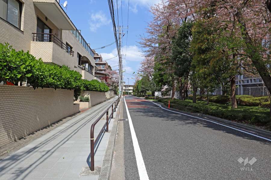 敷地東側の前面道路（南側から）