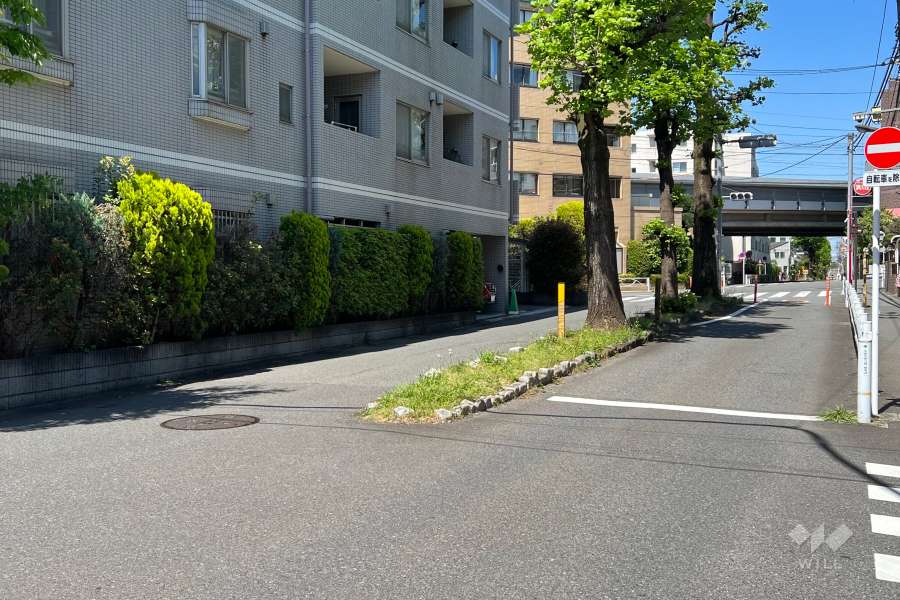 敷地南東側の前面道路(南側から)