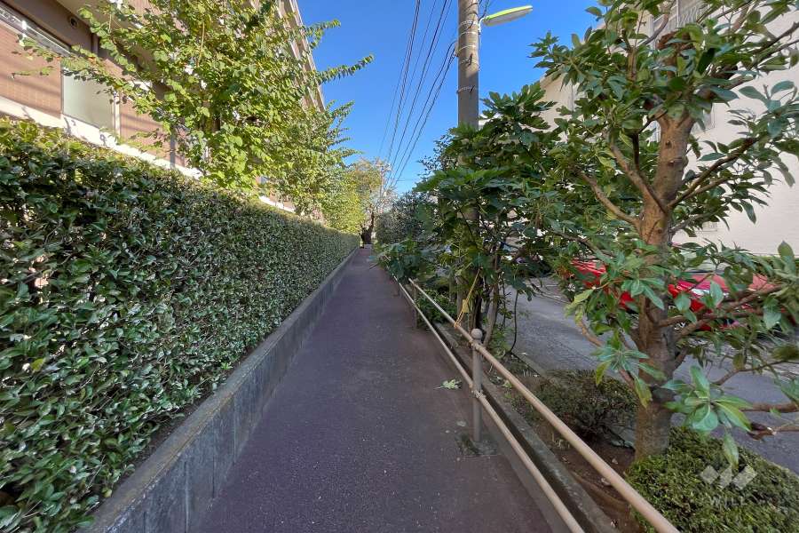 敷地の北側通路（西側から）