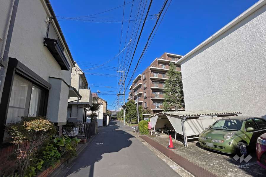 敷地の西側道路（南側から）