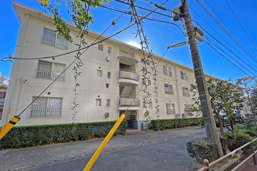 砧芙蓉ハイツの外観（北東側から）