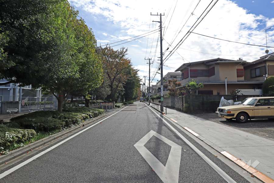 敷地東側前面道路（北側から）