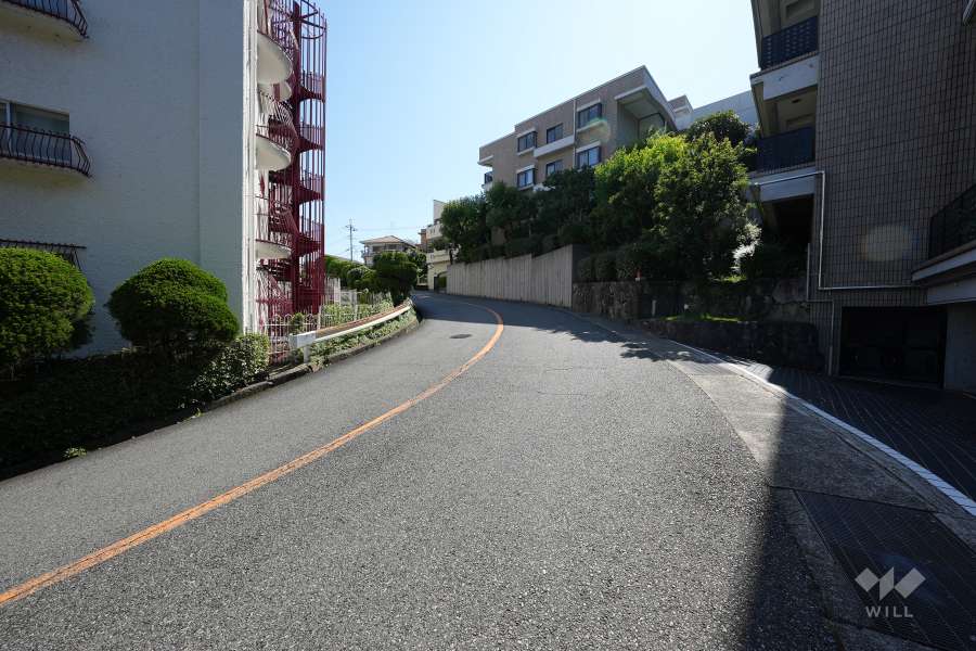 敷地南東側の前面道路（東側から）