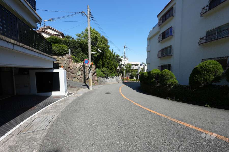 敷地南東側の前面道路（西側から）