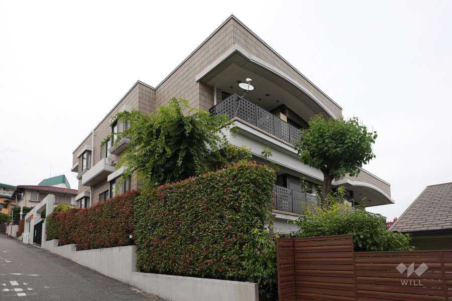 ラフィーヌ芦屋の外観（南東側から）