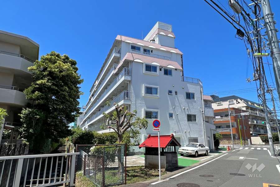 砧フラワーマンションの外観（南東側から）