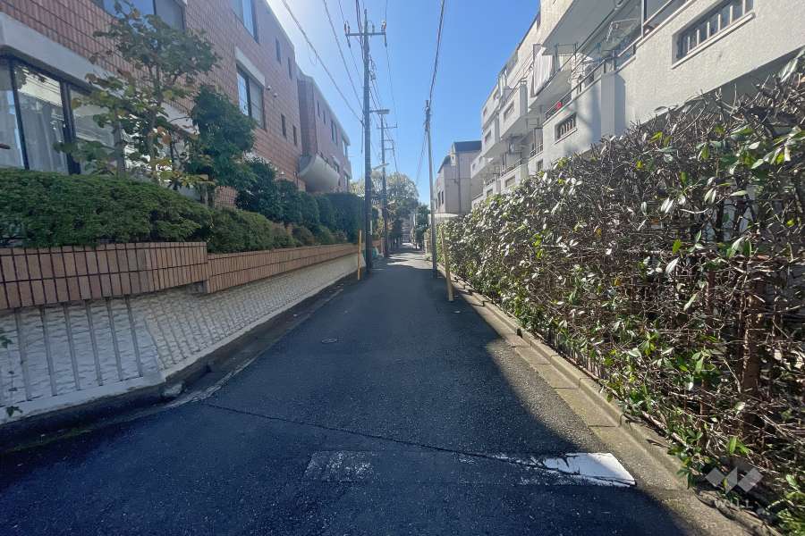 敷地南東側の前面道路（北東側から）
