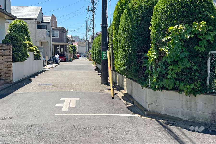 敷地東側の前面道路(北側から)