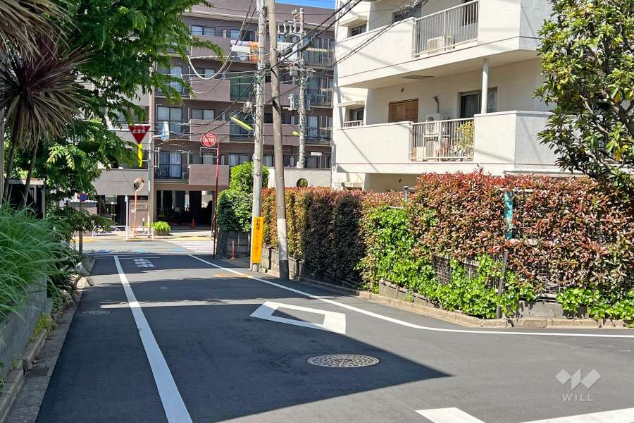 敷地西側の前面道路(南側から)