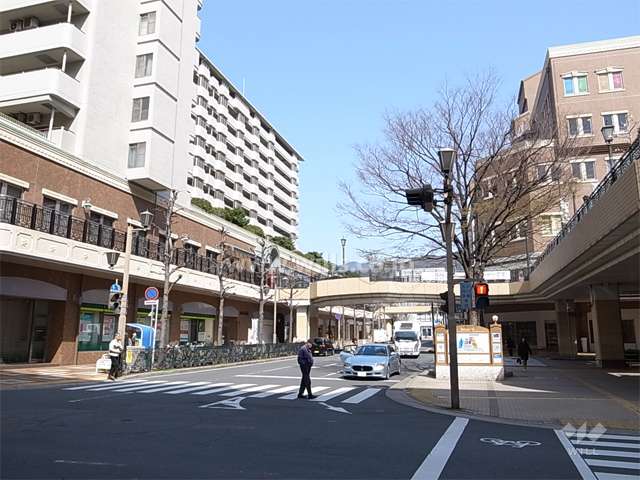 敷地東側の前面道路