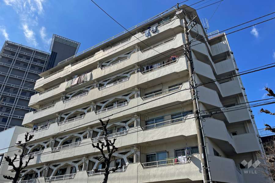 ニックハイム砧の外観（南東側から）