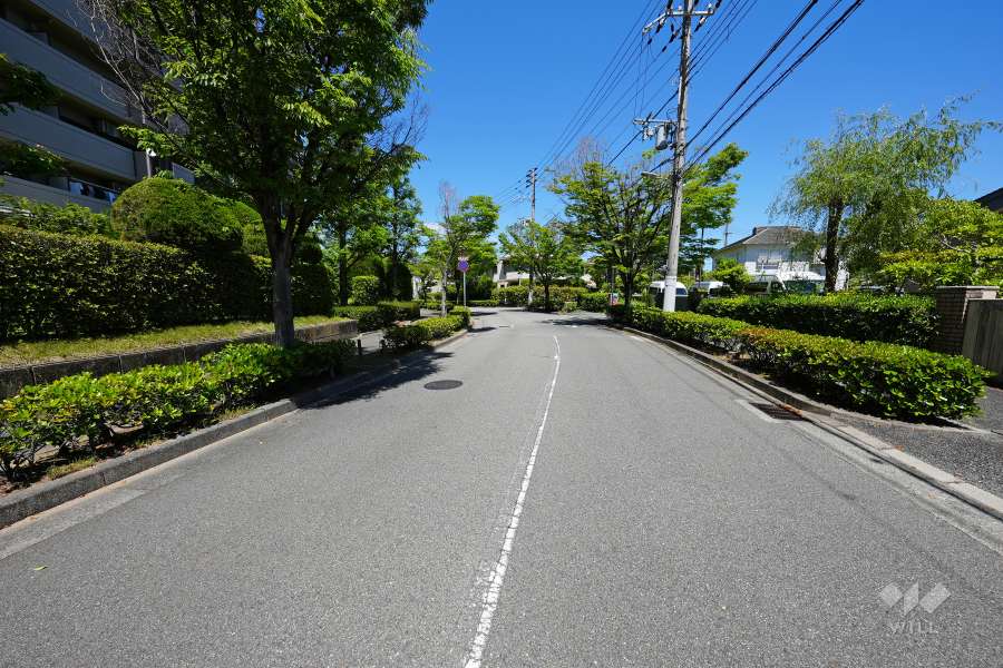 敷地南側の前面道路（西側から）