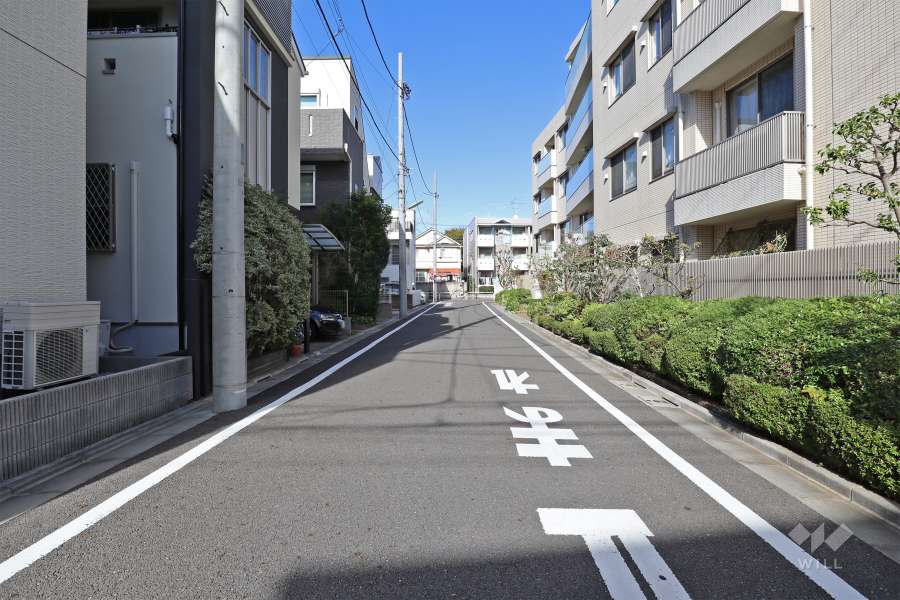 敷地西側の前面道路（南側から）