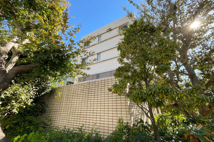 ブランズ砧の外観（北側から）