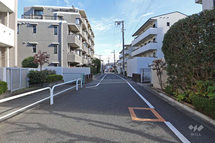 敷地北側の前面道路（西側から）