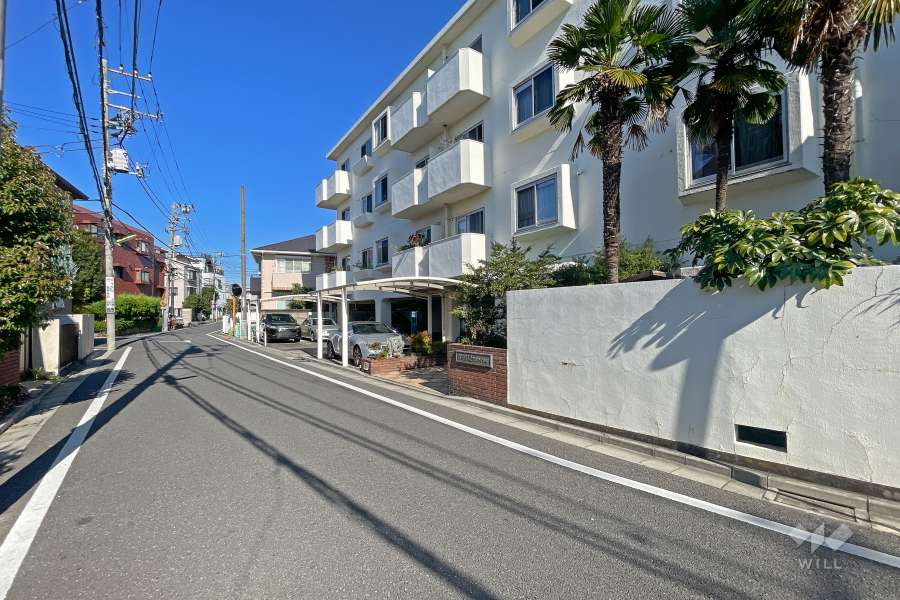 敷地南西側の前面道路（南東側から）