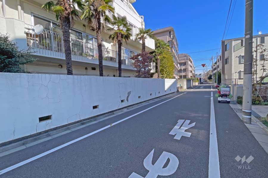 敷地南東側の前面道路（南西側から）