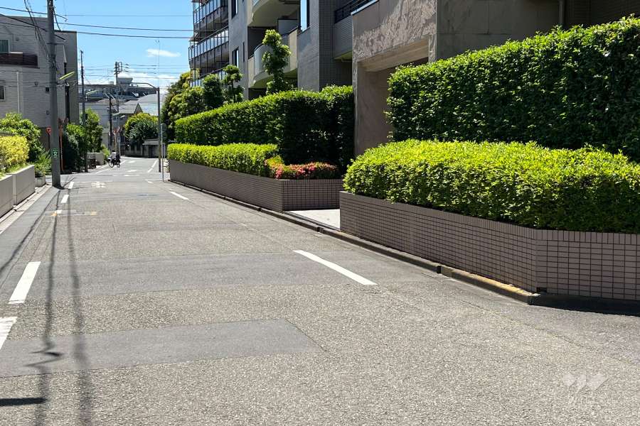 敷地の南東側前面道路(東側から)