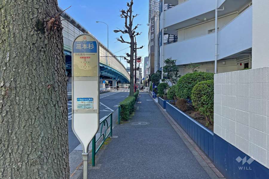 敷地北東側の前面道路（北西側から）