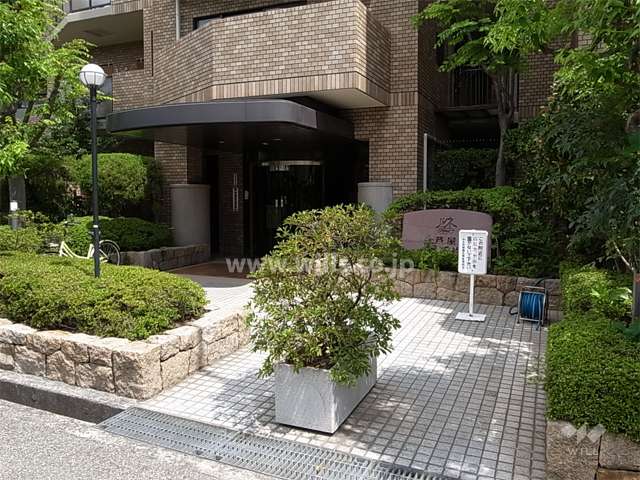 植栽スペースに囲まれたエントランス