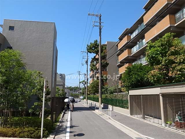 敷地南側の前面道路。周辺はマンションと一戸建てが混在する閑静な住宅地です。