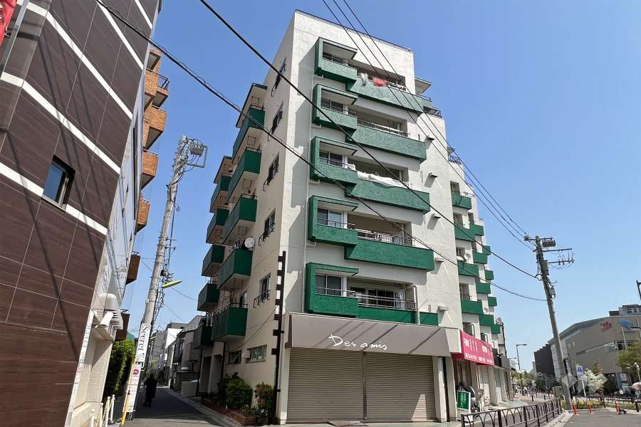 ライオンズマンション経堂の外観（南西側から)