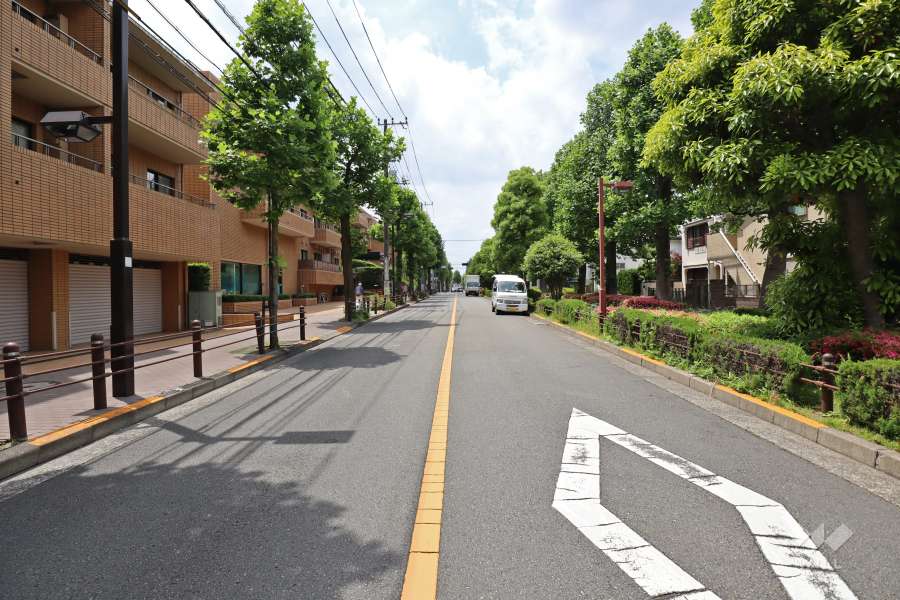 敷地北側の前面道路（西側から）