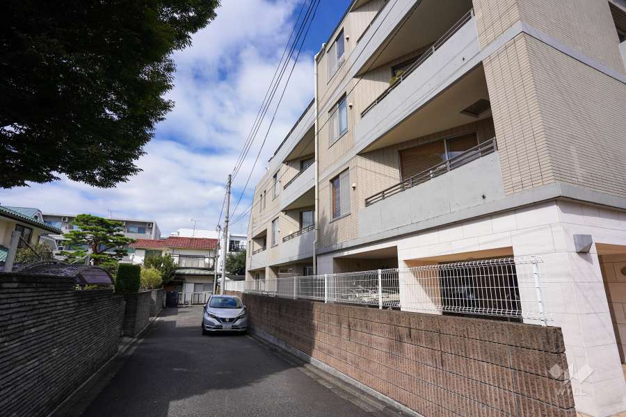 敷地西側の前面道路（南側から）