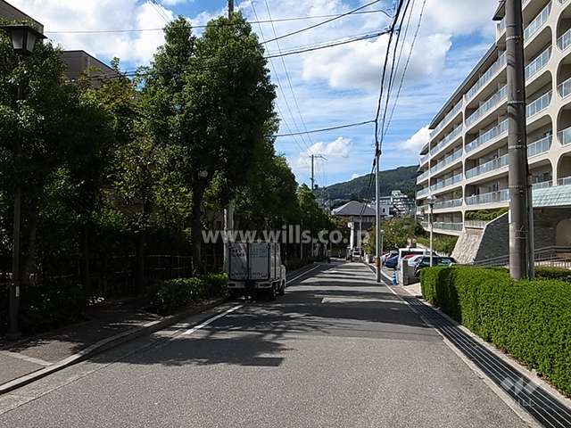 敷地北側の前面道路。街路樹のきれいな通りです。