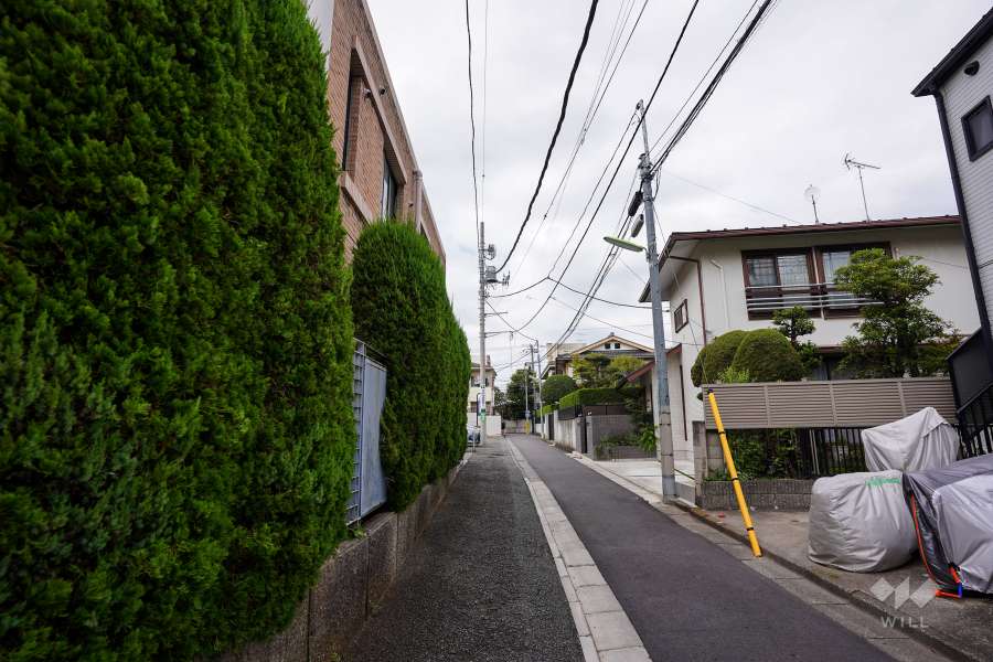 敷地東側の前面道路（南側から）