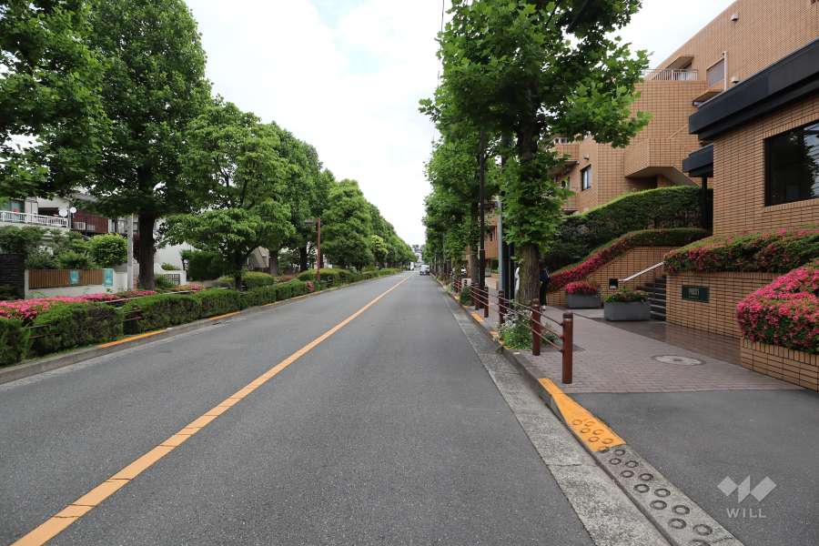 敷地北側の前面道路