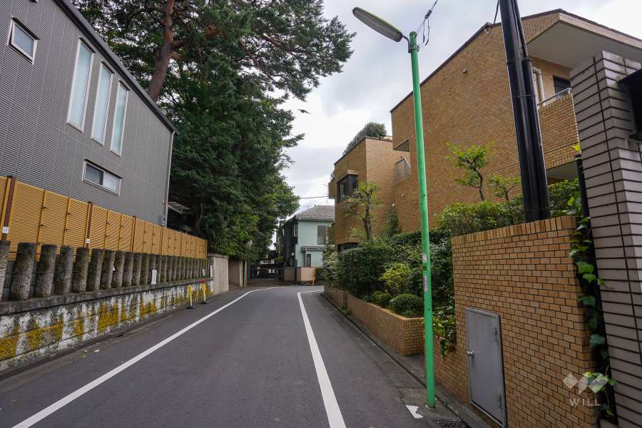 敷地東側の前面道路（北側から）