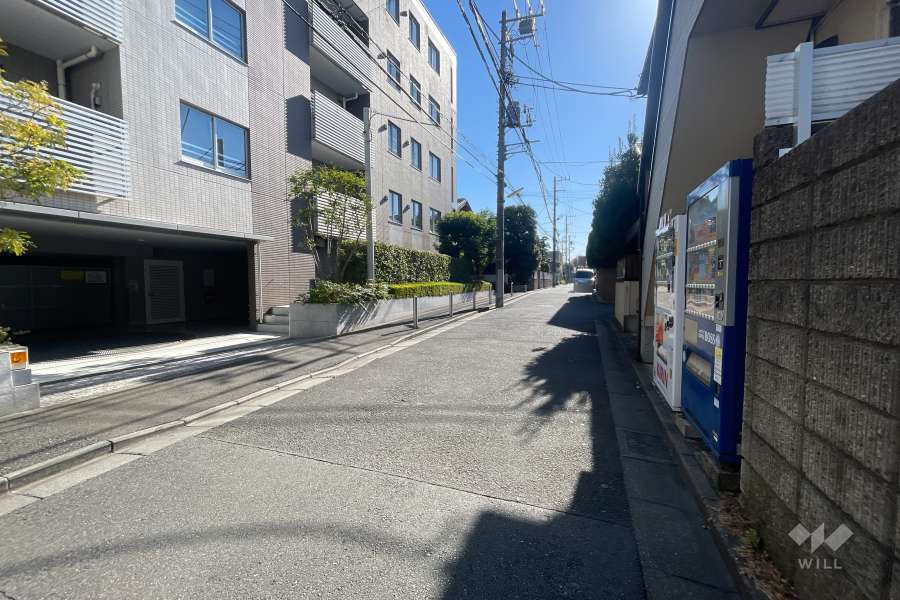 敷地東側側の前面道路（南東側から）